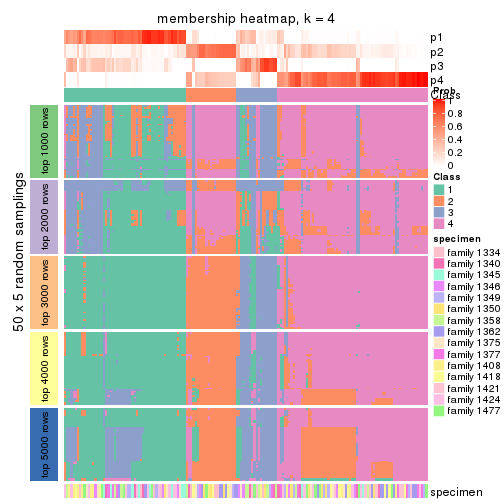 plot of chunk tab-SD-mclust-membership-heatmap-3