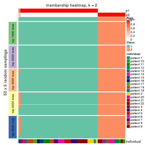plot of chunk tab-CV-mclust-membership-heatmap-1