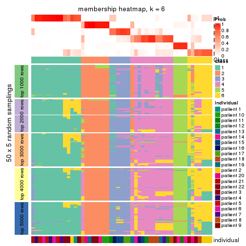 plot of chunk tab-CV-skmeans-membership-heatmap-5