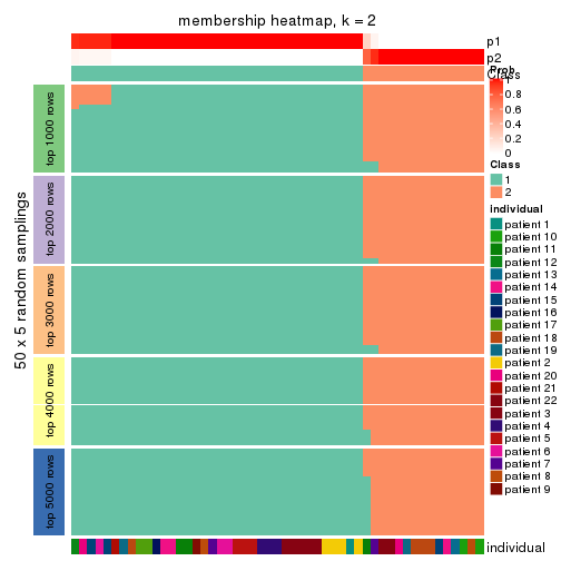 plot of chunk tab-MAD-hclust-membership-heatmap-1