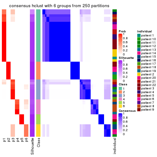 plot of chunk tab-SD-hclust-consensus-heatmap-5