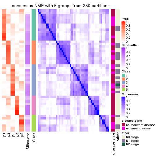 plot of chunk tab-CV-NMF-consensus-heatmap-4