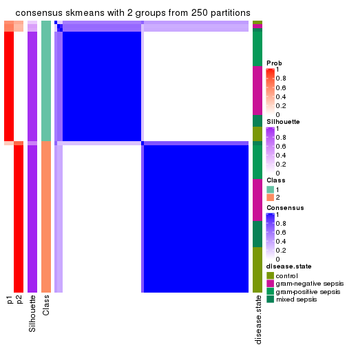 plot of chunk tab-SD-skmeans-consensus-heatmap-1