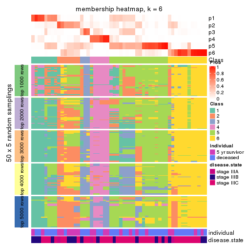 plot of chunk tab-CV-hclust-membership-heatmap-5