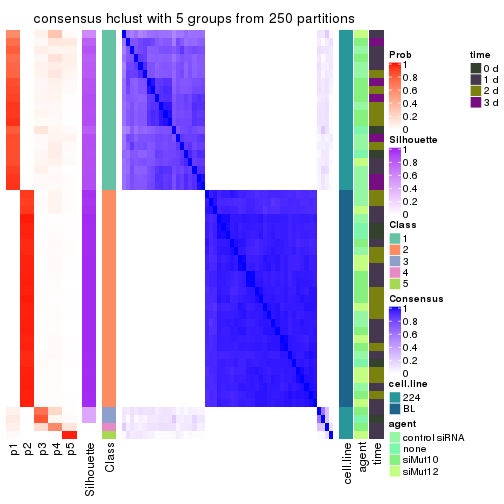 plot of chunk tab-CV-hclust-consensus-heatmap-4