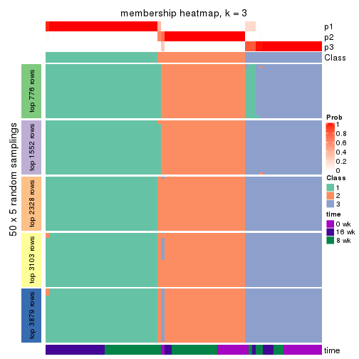 plot of chunk tab-ATC-skmeans-membership-heatmap-2
