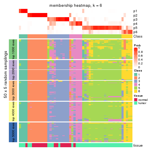 plot of chunk tab-CV-NMF-membership-heatmap-5