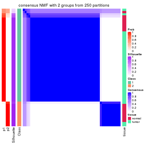 plot of chunk tab-SD-NMF-consensus-heatmap-1