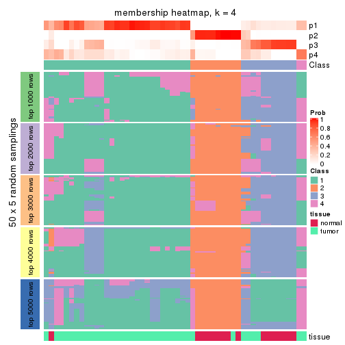 plot of chunk tab-SD-mclust-membership-heatmap-3