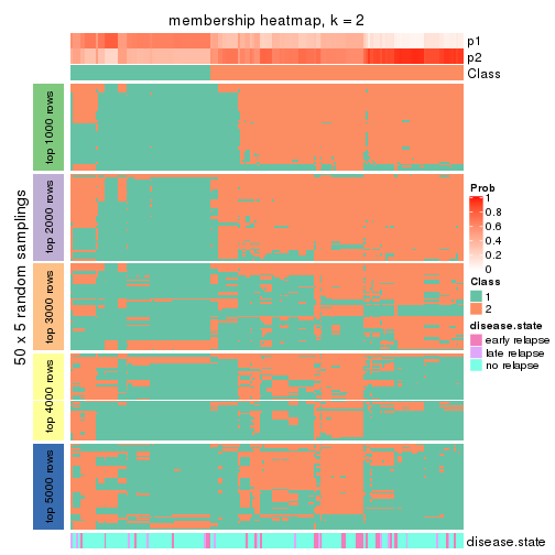 plot of chunk tab-CV-hclust-membership-heatmap-1
