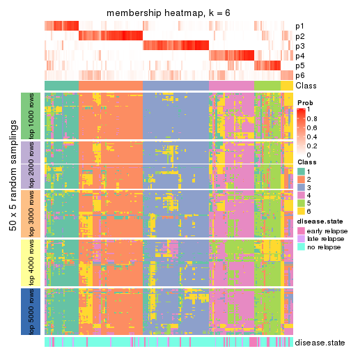 plot of chunk tab-MAD-NMF-membership-heatmap-5
