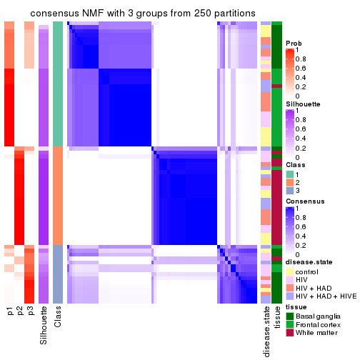 plot of chunk tab-MAD-NMF-consensus-heatmap-2