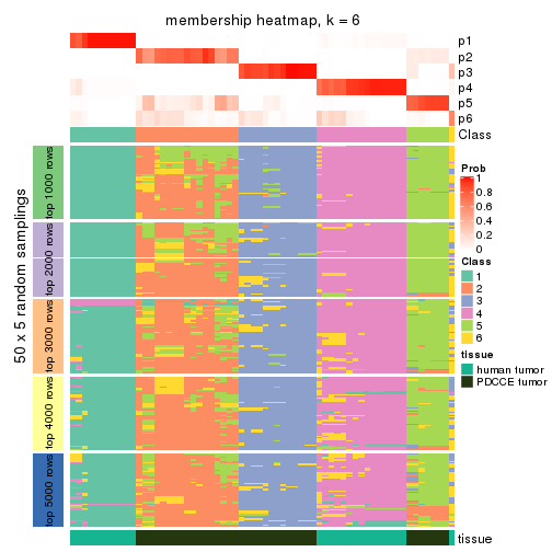 plot of chunk tab-SD-skmeans-membership-heatmap-5