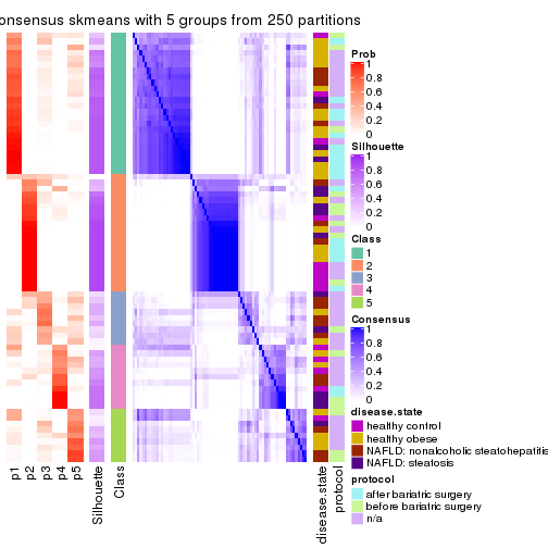 plot of chunk tab-CV-skmeans-consensus-heatmap-4