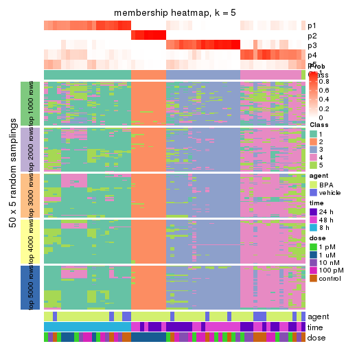 plot of chunk tab-SD-kmeans-membership-heatmap-4