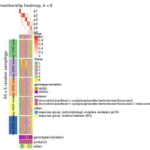 plot of chunk tab-SD-kmeans-membership-heatmap-5
