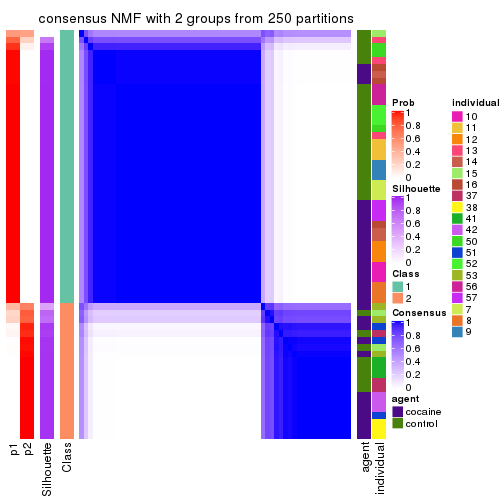 plot of chunk tab-ATC-NMF-consensus-heatmap-1
