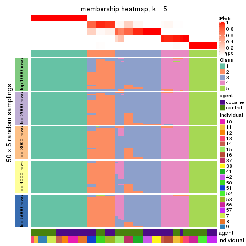 plot of chunk tab-ATC-skmeans-membership-heatmap-4