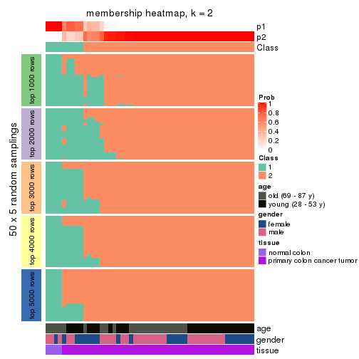 plot of chunk tab-SD-hclust-membership-heatmap-1