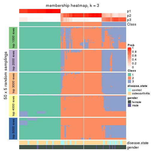 plot of chunk tab-CV-mclust-membership-heatmap-2